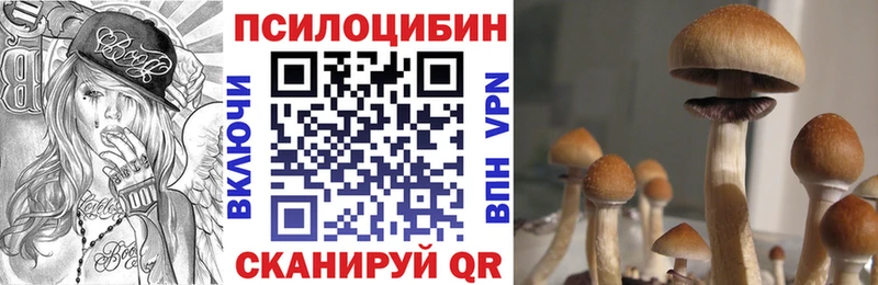 Псилоцибиновые грибы Psilocybine cubensis  продажа наркотиков  Завитинск 